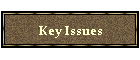 Key Issues