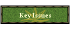 Key Issues
